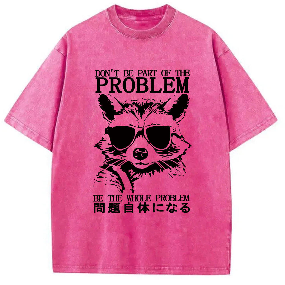 Be The Whole Problem Raccoon Washed T-Shirt