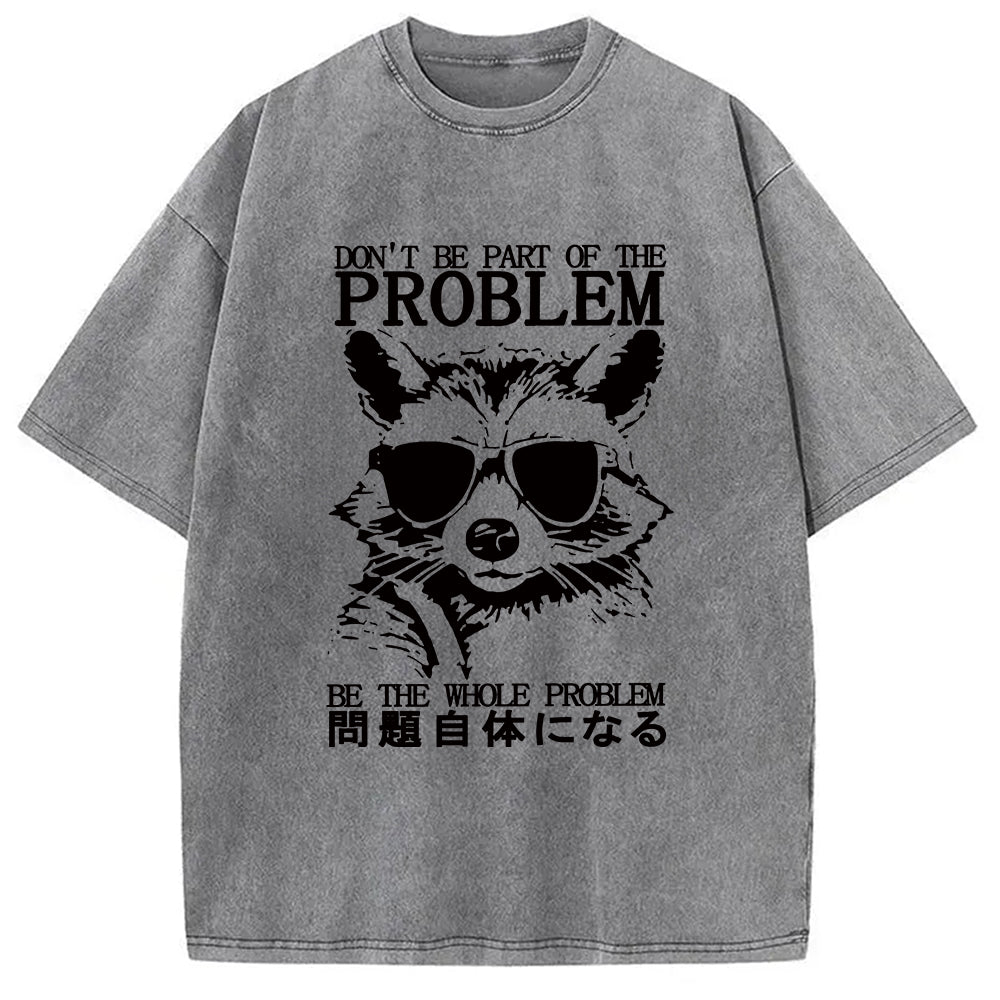 Be The Whole Problem Raccoon Washed T-Shirt
