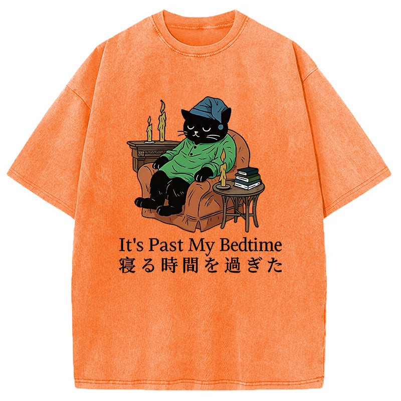 Cat That Goes To Bed Early Washed T-Shirt