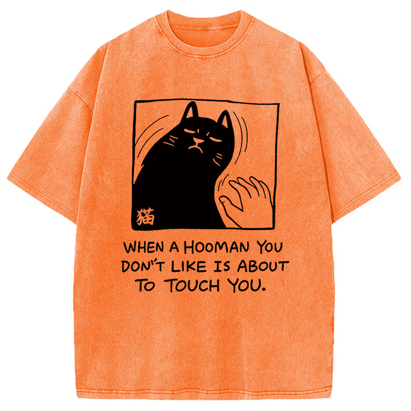 Rebellious Cat Washed T-Shirt