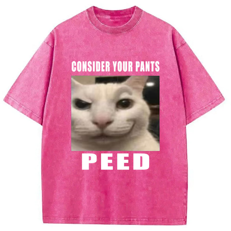 Consider Your Pants Peed Meme Washed T-Shirt