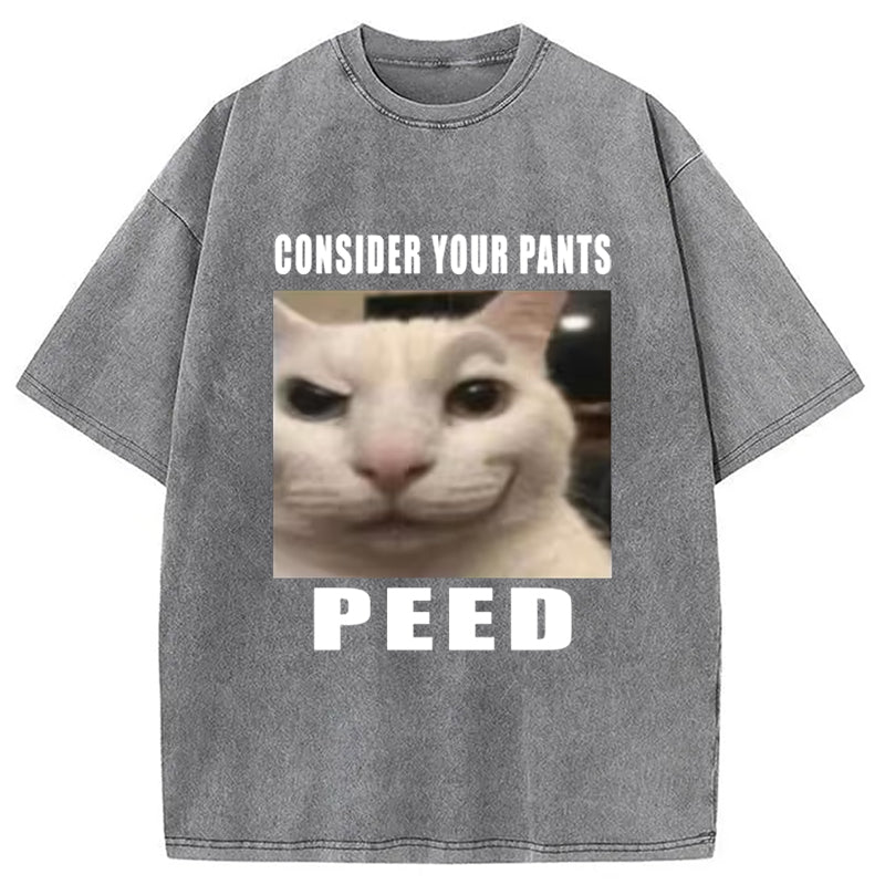 Consider Your Pants Peed Meme Washed T-Shirt