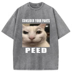 Consider Your Pants Peed Meme Washed T-Shirt