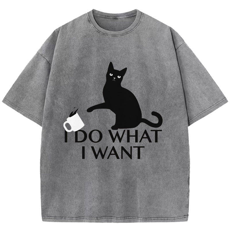I Do What I Want Washed T-Shirt