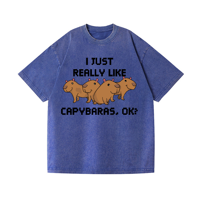 Capybara Vintage Wash Japanese Design T-Shirt
