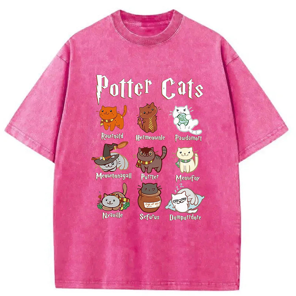 Wizard Cats Washed T-Shirt