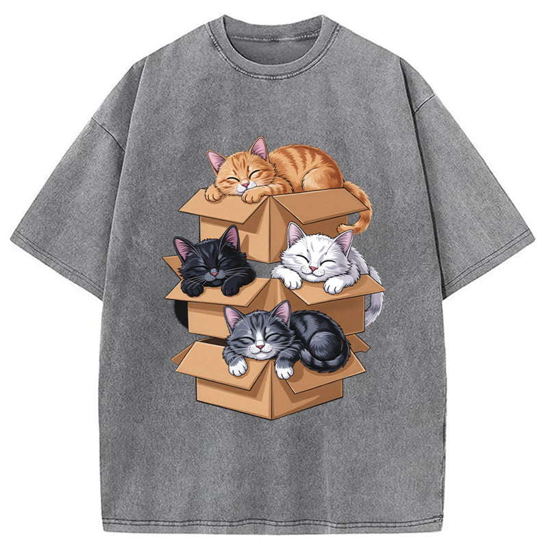 Kawaii Cardboard Cat Washed T-Shirt