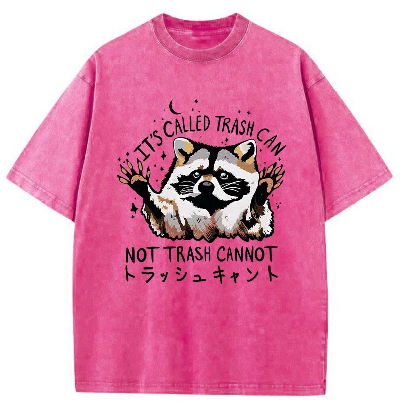 Adorable Raccoon Washed T-Shirt