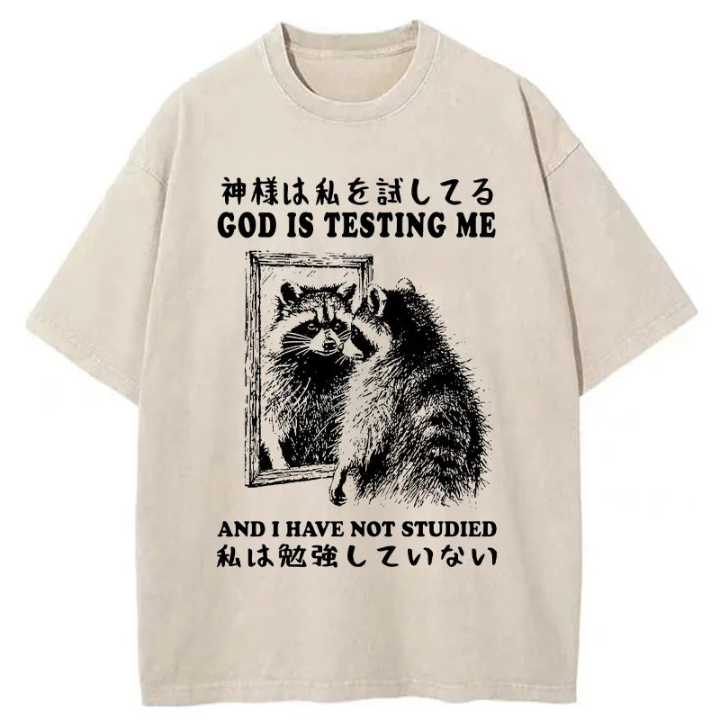 Raccoon Not Studied Washed T-Shirt