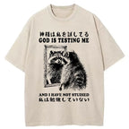 Raccoon Not Studied Washed T-Shirt
