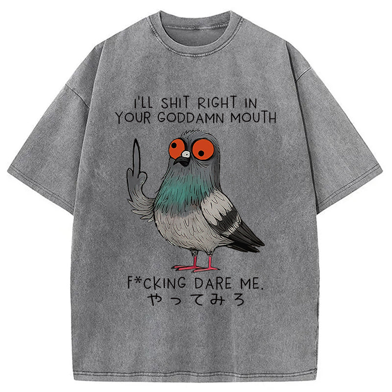 Angry Pigeon Funny Washed T-Shirt