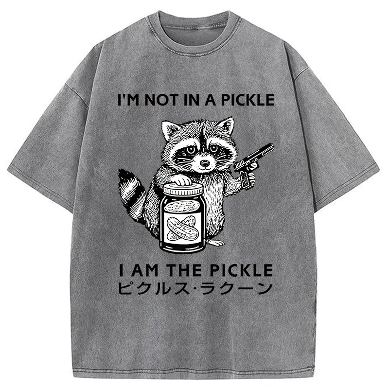 Funny Raccoon Japan Washed T-Shirt