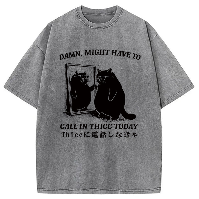 Cat Admiring Himself Washed T-Shirt