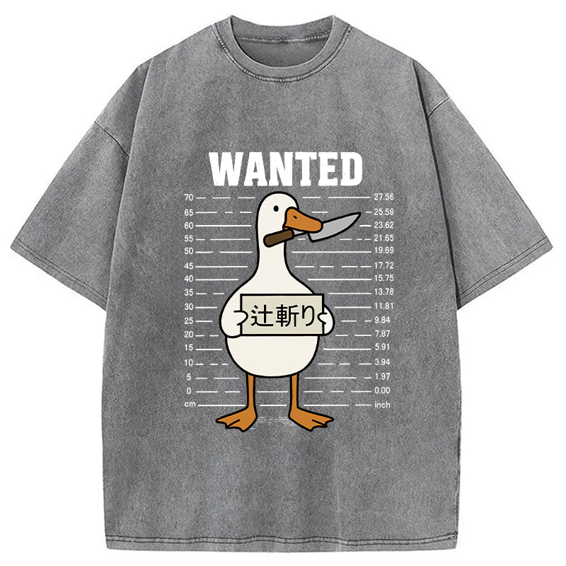 Wanted Silly Goose Washed T-Shirt