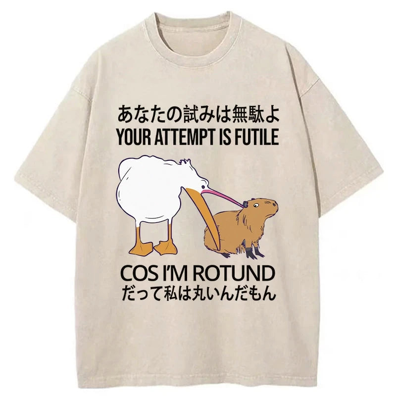 Your Attempts Are In Vain Washed T-Shirt