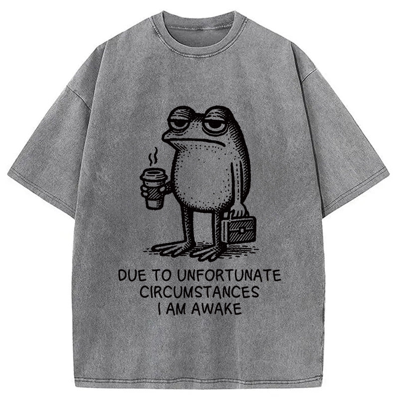 Decadent Frog Washed T-Shirt