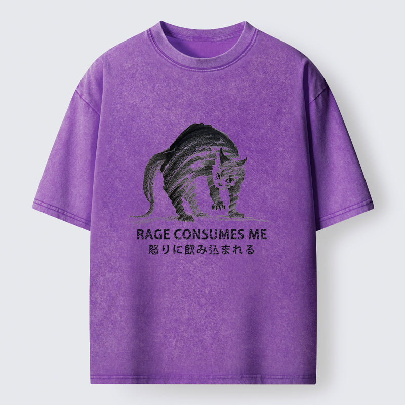 Unisex Rage Consumes Cat Washed T-Shirt
