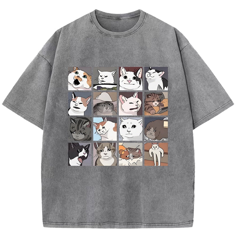 Cat Meme Washed T-Shirt
