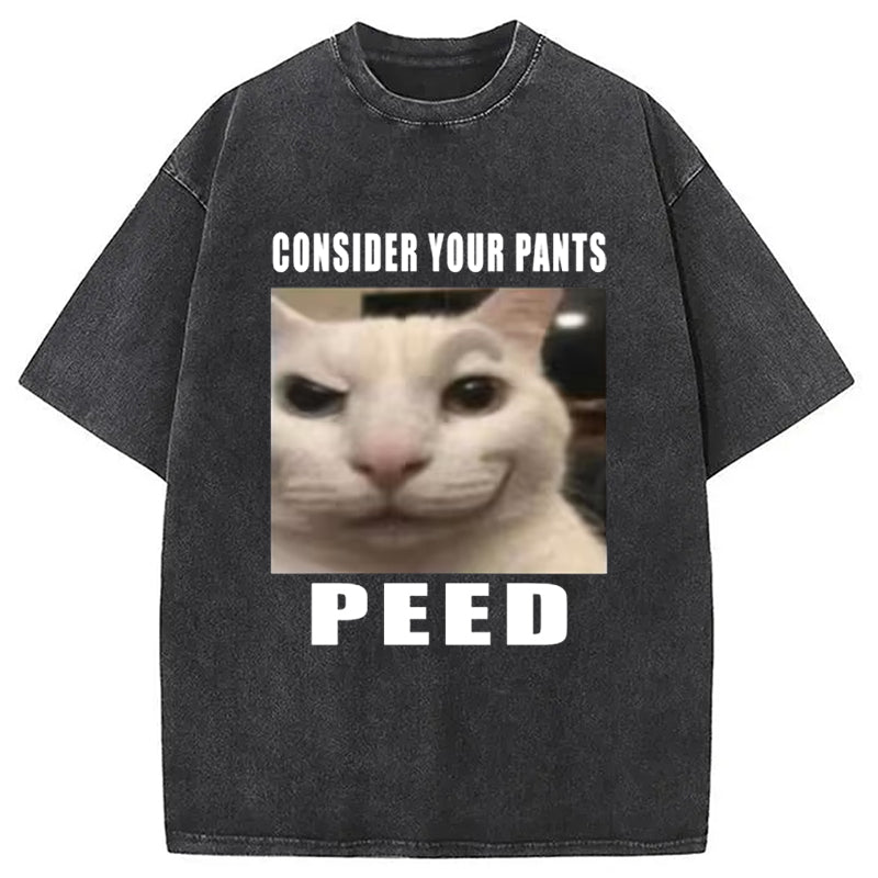 Consider Your Pants Peed Meme Washed T-Shirt