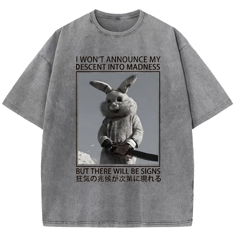 Rabbit Goes Into Madness Washed T-Shirt