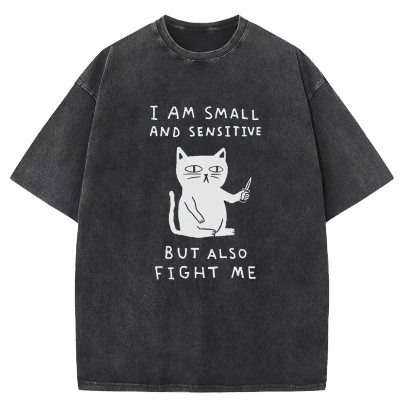 I Am Small And Sensitive Washed T-Shirt