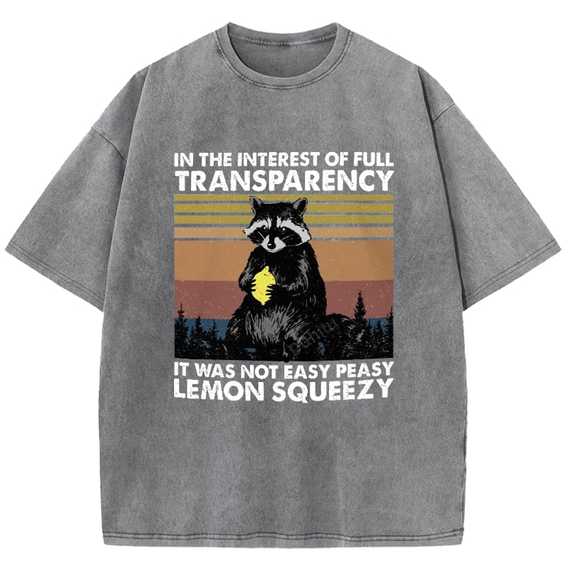 In The Interest Of Full Transparency Washed T-Shirt