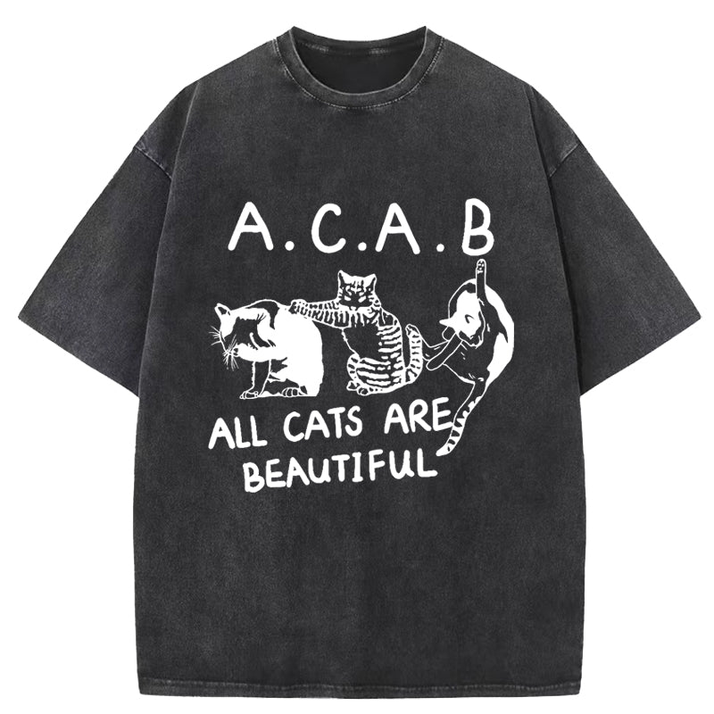 All Cats Are Beautiful Washed T-Shirt