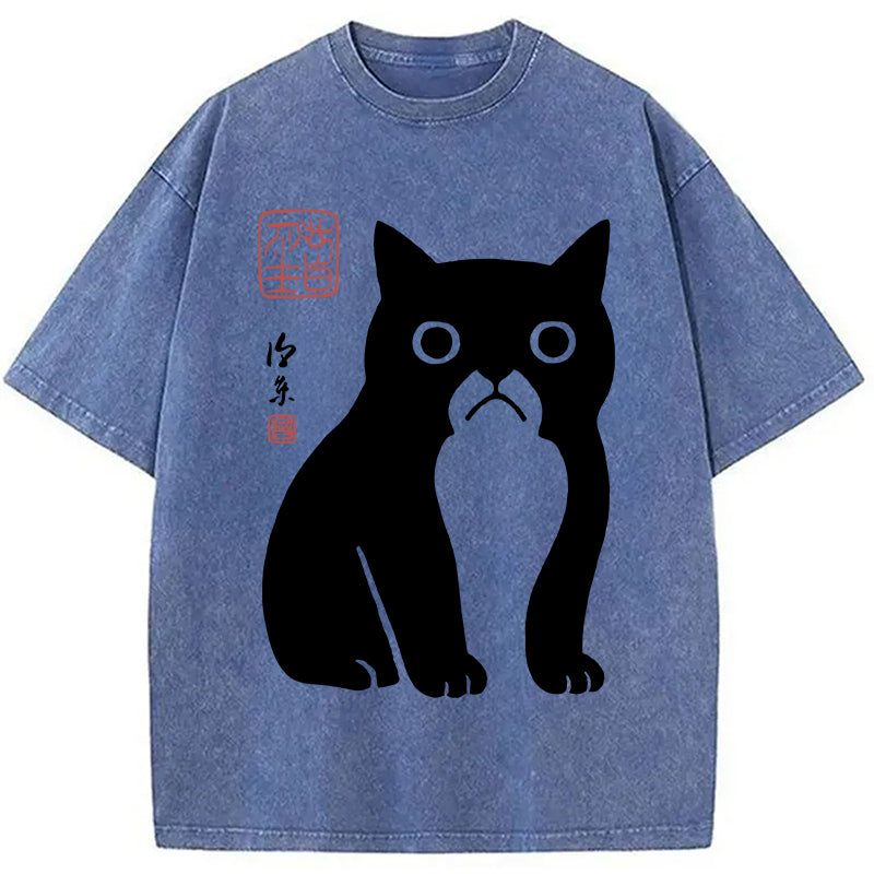Funny Zen Cat Meme Washed T-Shirt