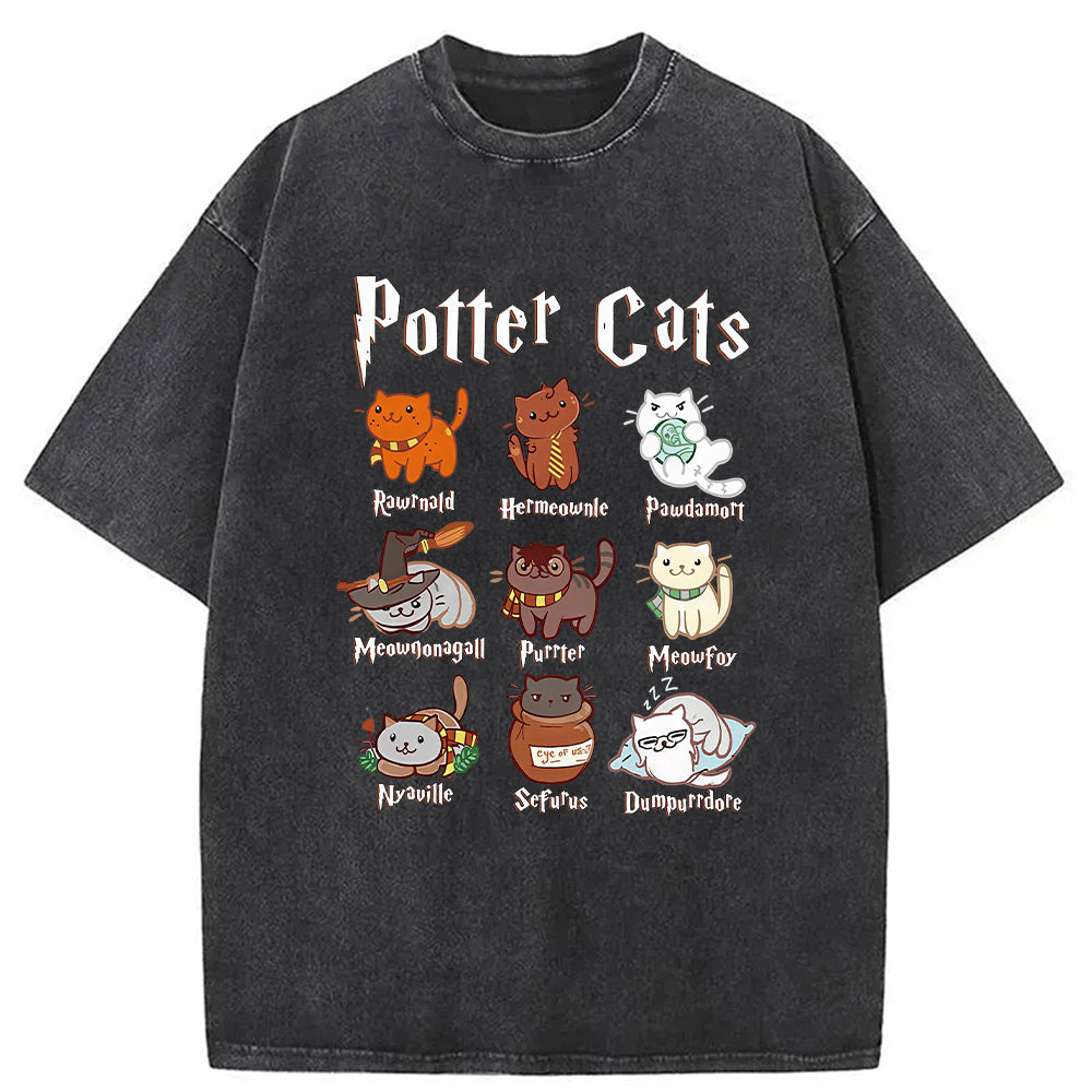Wizard Cats Washed T-Shirt