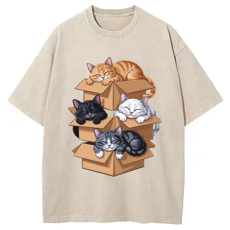 Kawaii Cardboard Cat Washed T-Shirt
