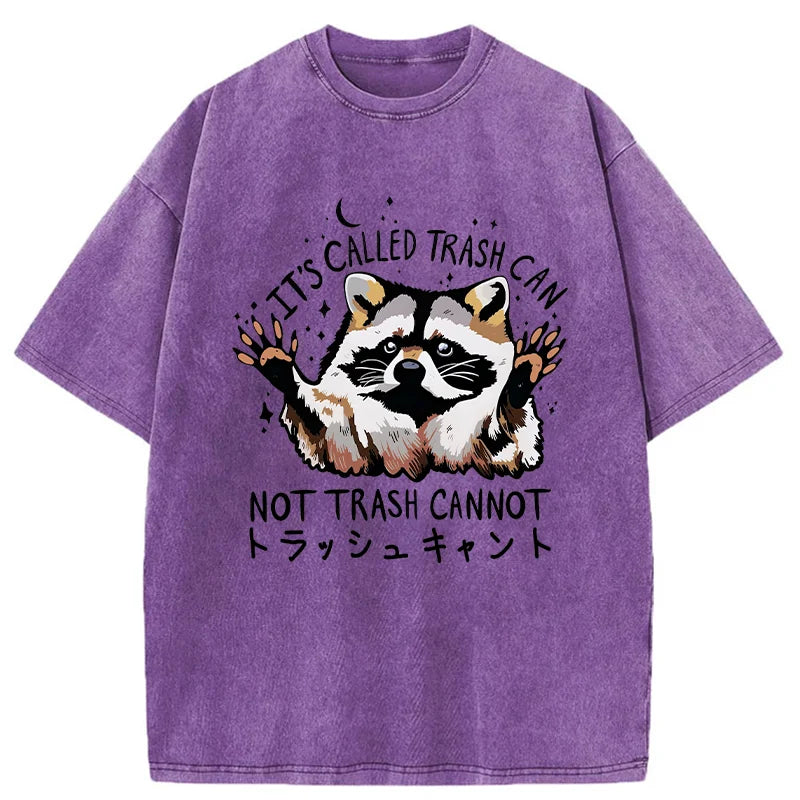 Adorable Raccoon Washed T-Shirt