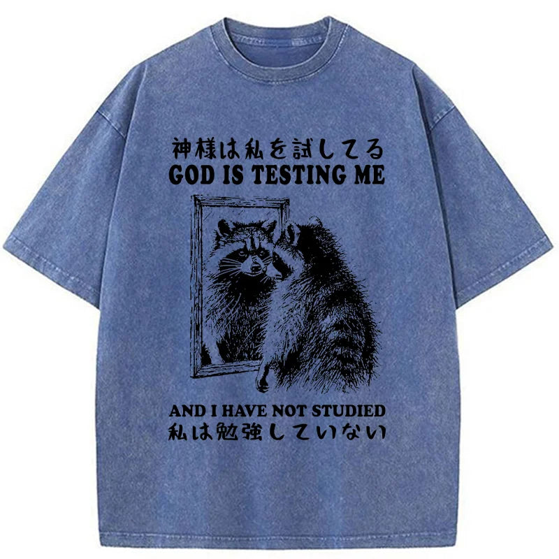 Raccoon Not Studied Washed T-Shirt
