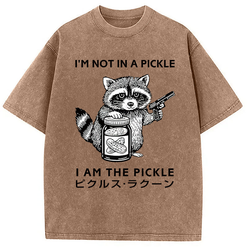 Funny Raccoon Japan Washed T-Shirt
