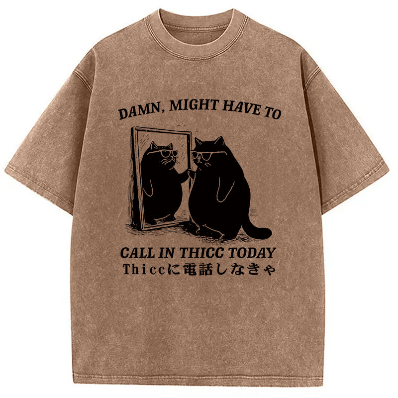 Cat Admiring Himself Washed T-Shirt