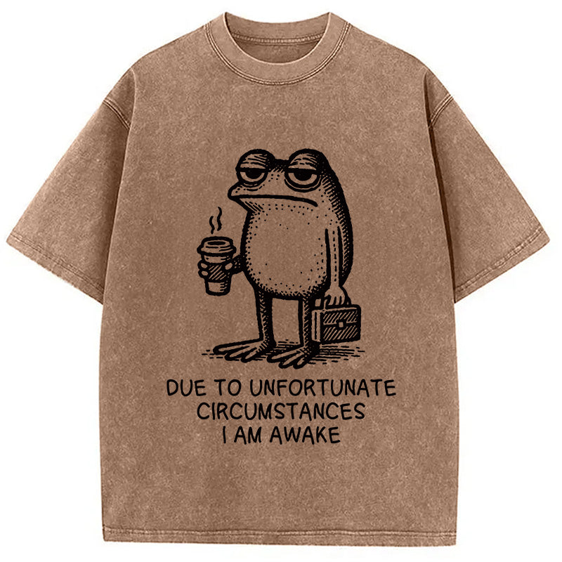 Decadent Frog Washed T-Shirt