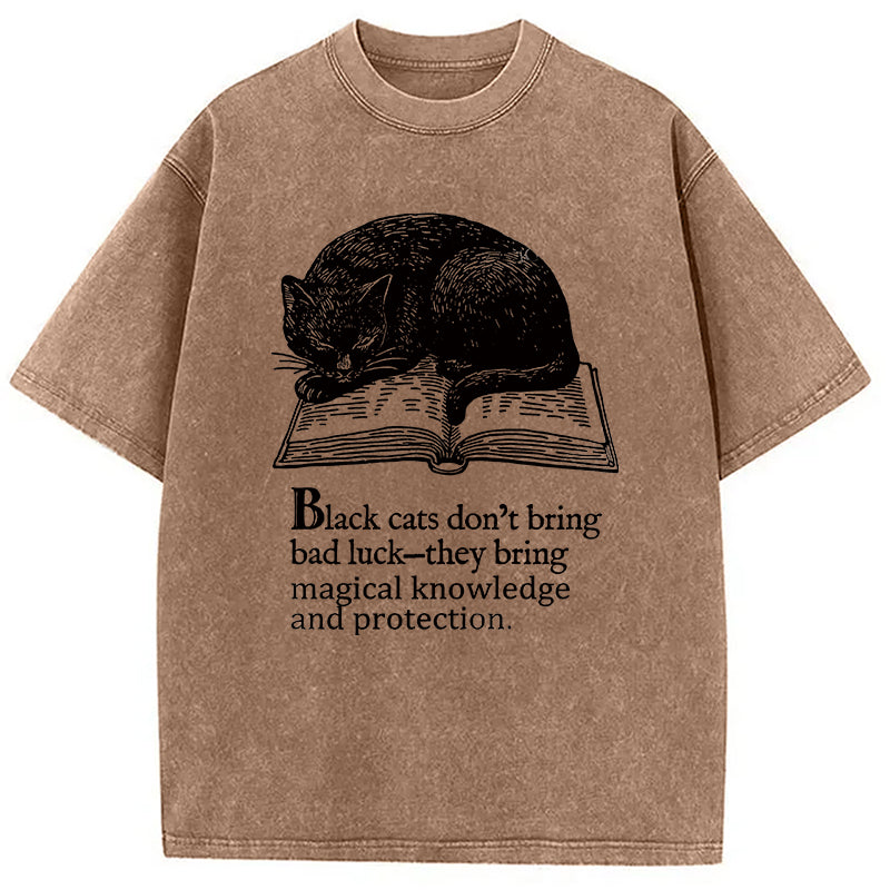 Black Cat Sleeping On A Book Washed T-Shirt