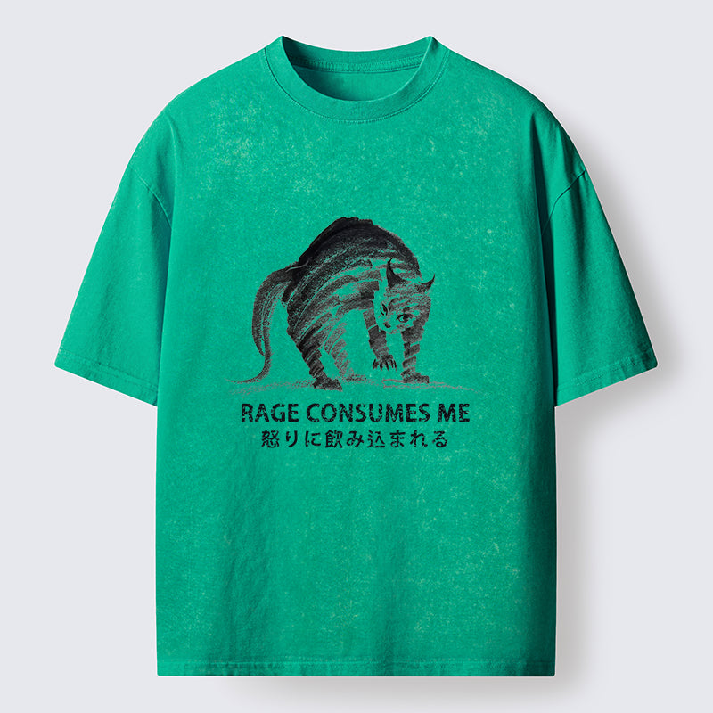 Unisex Rage Consumes Cat Washed T-Shirt