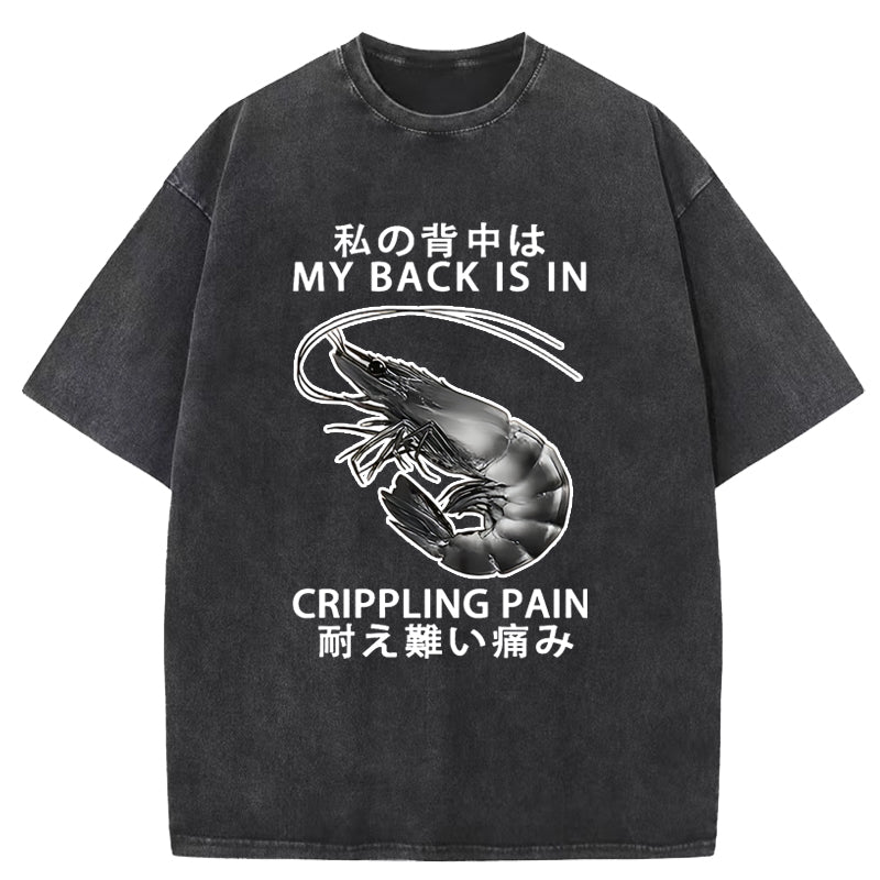 My Back Is In Crippling Pain Washed T-Shirt