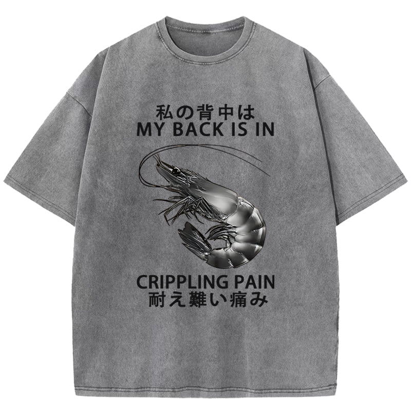My Back Is In Crippling Pain Washed T-Shirt