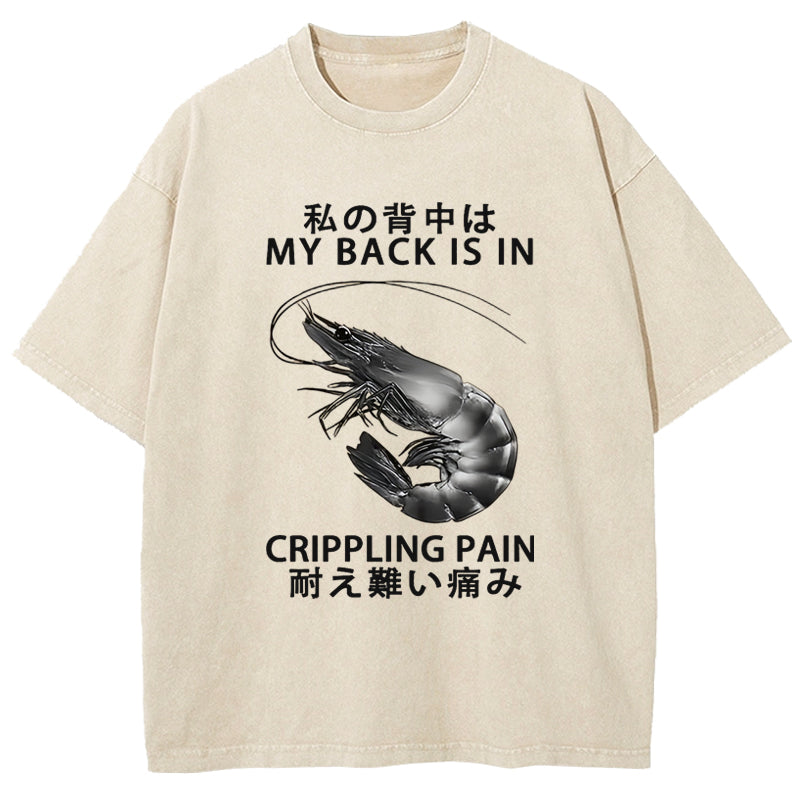 My Back Is In Crippling Pain Washed T-Shirt