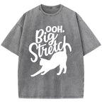 Big Stretch Washed T-Shirt