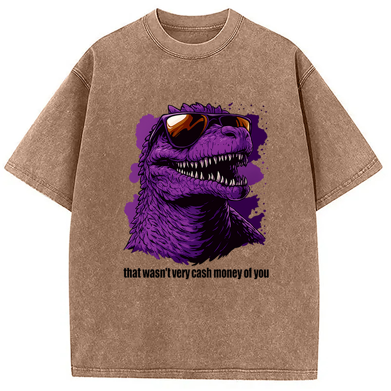 That Wasn't Very Cash Money Of You Washed T-Shirt