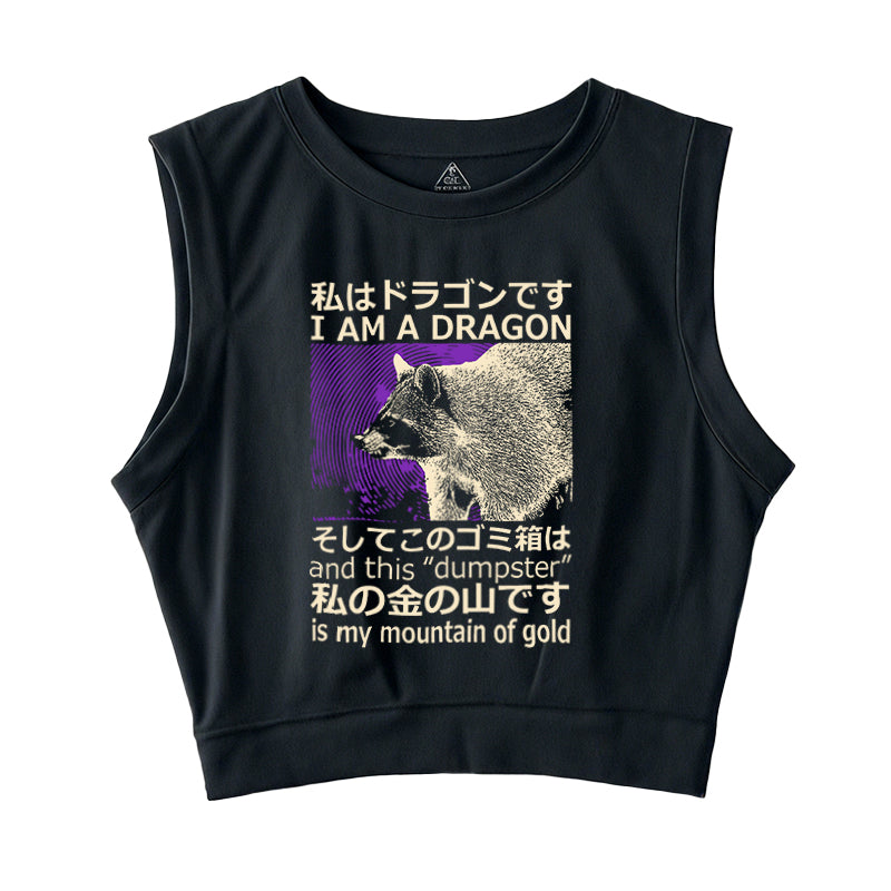 I Am A Dragon Sleeveless Crop Top