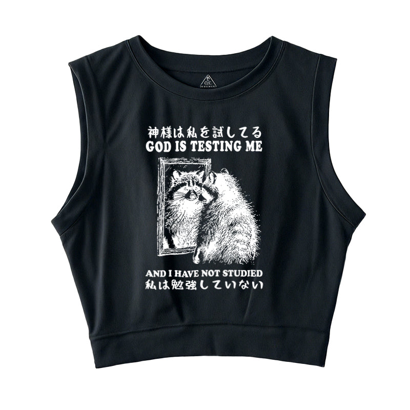 Raccoon Not Studied Sleeveless Crop Top
