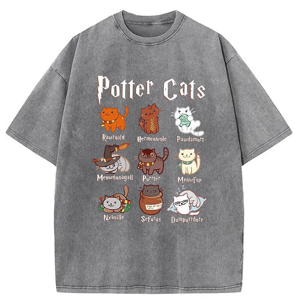 Wizard Cats Washed T-Shirt