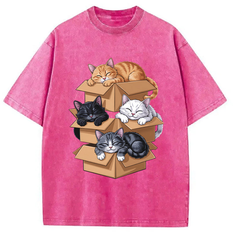 Kawaii Cardboard Cat Washed T-Shirt
