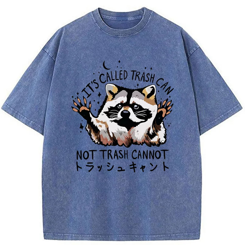Adorable Raccoon Washed T-Shirt