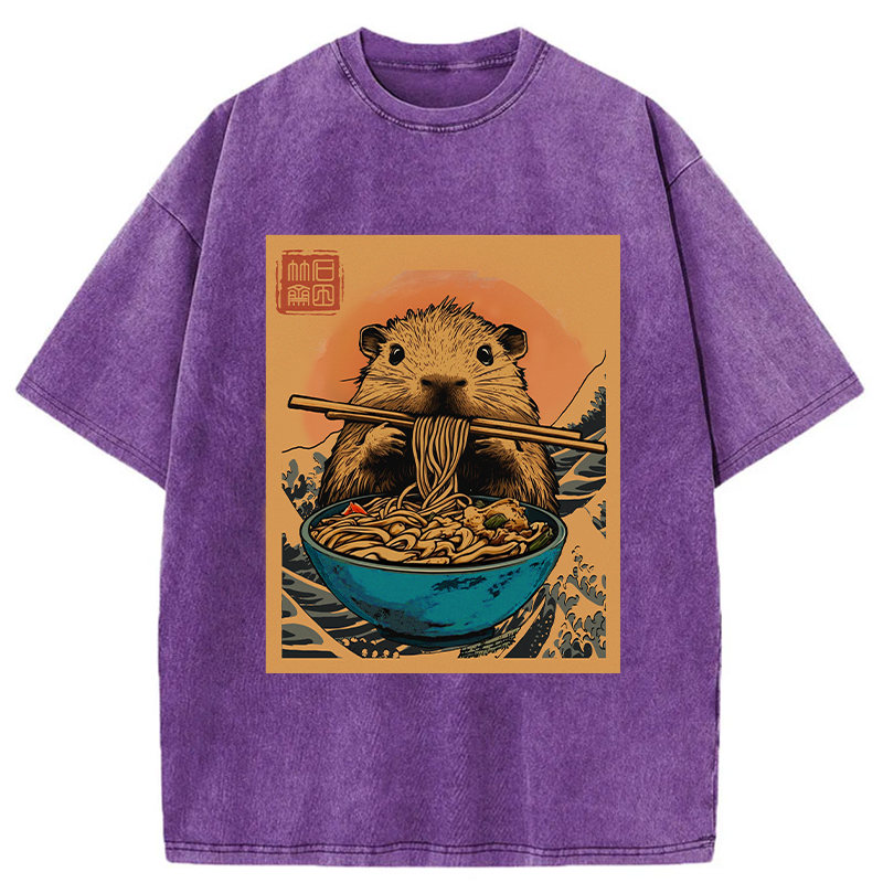 Opossum Eats Ramen Washed T-Shirt