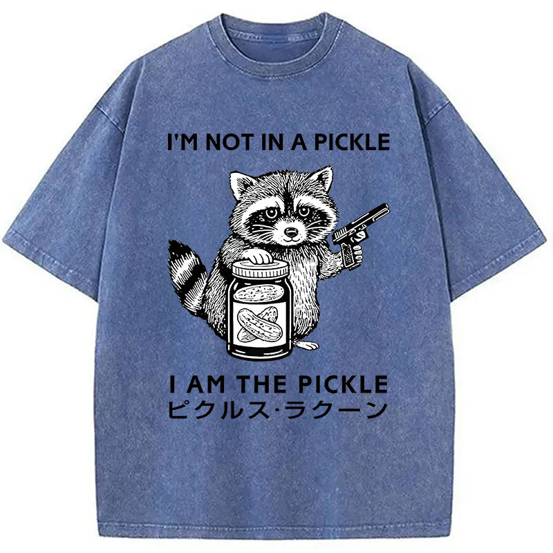 Funny Raccoon Japan Washed T-Shirt