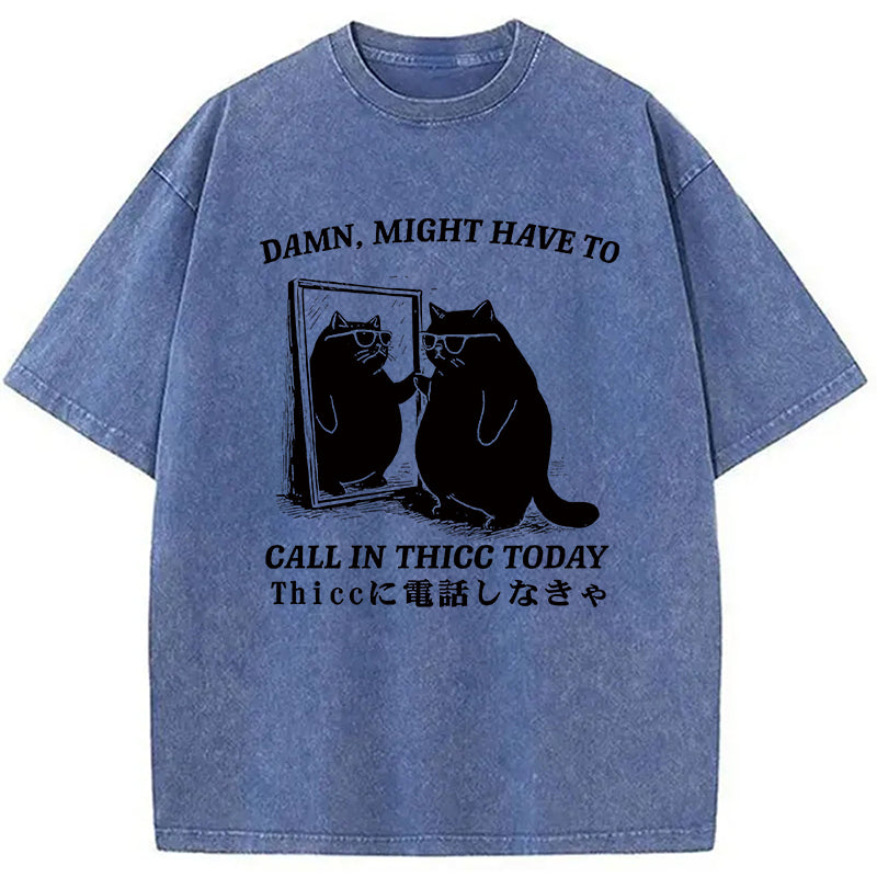 Cat Admiring Himself Washed T-Shirt